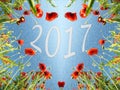 Christmas card with a heart of poppies and snow and the inscription in 2017 (greeting the new year - concept)