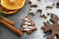 Christmas card. Homemade gingerbread in the form of Christmas trees, drenched with white glaze. Cinnamon sticks and dried orange s Royalty Free Stock Photo