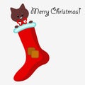 Christmas card with kitten in the sock Royalty Free Stock Photo
