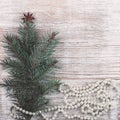 Christmas card. New Year accessories on white wooden background. Christmas celebration concept with pine tree and pearls. Place fo Royalty Free Stock Photo