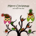 Christmas card with owls on the tree Royalty Free Stock Photo