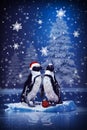 Christmas card with penguins Royalty Free Stock Photo