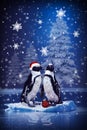 Christmas card with penguins