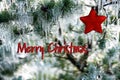 Christmas card with pine tree and iciles, red star and Merry Christmas text Royalty Free Stock Photo