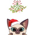 Christmas card Portrait of cute cat character design Royalty Free Stock Photo
