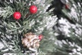 Christmas card with snowy fir and red berries Royalty Free Stock Photo