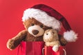 Christmas card with Teddy and banny in red gift bags. With holiday decoration and presents