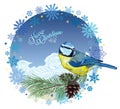 Christmas card. Titmouse sitting on pine branch with cones and the circle of snowflakes