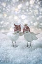 Christmas card. Two funny little birds .