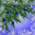 Christmas card. Winter background with spruce branches and blue