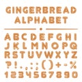 Christmas cartoon gingerbread cookies font alphabet collection.