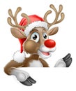 Santa Hat Reindeer Pointing Down from Behind Sign Royalty Free Stock Photo