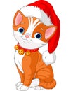 Christmas cat Royalty Free Stock Photo