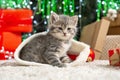 Christmas Cat. Beautiful little tabby kitten in red Santa Claus hat near Christmas red gift boxes, decorations and chrismas tree Royalty Free Stock Photo