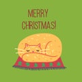 Christmas cats, Merry Christmas illustration of cute cats with accessories like a knited hat, sweater Royalty Free Stock Photo