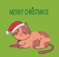 Christmas cat, Merry Christmas illustration of cute catwith accessories like a knited hat, sweater Royalty Free Stock Photo