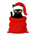 Christmas Cat. Pet in Santa Claus cap. Red bag with gifts. New Y Royalty Free Stock Photo