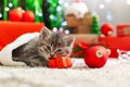 Christmas cat play with gift box. Beautiful little tabby kitten in red Santa Claus hat near Christmas gift boxes, decorations, Royalty Free Stock Photo