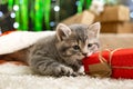 Christmas cat play with gift box. Beautiful little tabby kitten in red Santa Claus hat near Christmas gift boxes, decorations, Royalty Free Stock Photo