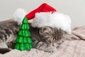 Christmas cat portrait, kitten in santa claus hat sleeping near Christmas tree miniature. New Year gray tabby kitten cat sleeping Royalty Free Stock Photo