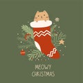 Christmas cat in red sock funny element for new year. Cute winter holiday pet illustration. Royalty Free Stock Photo