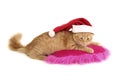 Christmas cat relax on pillow Royalty Free Stock Photo