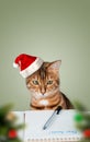 A Christmas Cat In A Santa Hat Writes A Letter To Santa Claus. Greeting Card