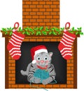 Christmas Cat Stocking Royalty Free Stock Photo