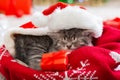 Christmas cat wearing Santa Claus hat holding gift box sleeping on plaid. Christmas presents concept. Cozy home. Animal pet kitten