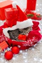 Christmas cat wearing Santa Claus hat holding gift box sleeping on plaid under christmas tree. Christmas presents concept. Cozy Royalty Free Stock Photo