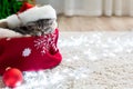 Christmas cat wearing Santa Claus hat sleeping on plaid under christmas tree with blurry festive decor. Adorable little tabby Royalty Free Stock Photo