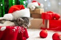 Christmas cat wearing Santa Claus hat sleeping on plaid under christmas tree with blurry festive decor. Adorable little tabby Royalty Free Stock Photo