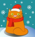 Christmas cat wearing santa hat