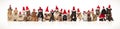 Christmas cats and dogs wearing santa caps standing and sitting Royalty Free Stock Photo