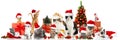 Christmas cats Royalty Free Stock Photo