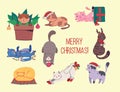 Christmas cats, Merry Christmas illustration of cute cats with accessories like a knited hat, sweater Royalty Free Stock Photo