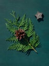 Christmas celebration concept with pine cone and thuja branch on green wooden background Royalty Free Stock Photo