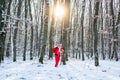 Christmas Celebration holiday. Santa in the winter field. Santa Claus in red costume walk in winter forest. Winter park Royalty Free Stock Photo