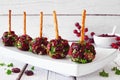 Christmas cheese ball appetizers with cranberries, pecans and herbs, close up on a serving plate against white wood