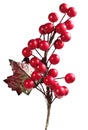 Christmas Cherry