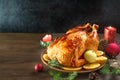 Christmas Chicken or Turkey