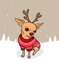 Christmas chihuahua dog cartoon illustration with snow. Dog in sweater and antlers