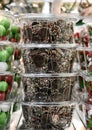 Christmas Chocolate Nonpareils