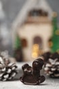 Chocolate figurines-Santa Claus, hare, horse, dragon, bell Royalty Free Stock Photo