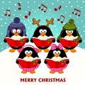 Christmas choir penguins Royalty Free Stock Photo