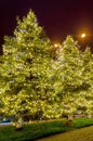 Christmas city decorations - christmas tree and lights garlands at night, New York City, USA Royalty Free Stock Photo