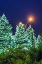 Christmas city decorations - christmas tree and lights garlands at night, New York City, USA Royalty Free Stock Photo