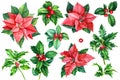 Christmas clipart watercolor, poinsettia flowers, holly branches, decorative elements. Royalty Free Stock Photo