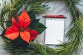 Christmas closeup mockup with poinsettia, pine wreath, notebook, with copy place. Cozy background Royalty Free Stock Photo