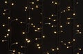 Christmas cluster micro LED warm light strings, fairy light festive decoration against dark background